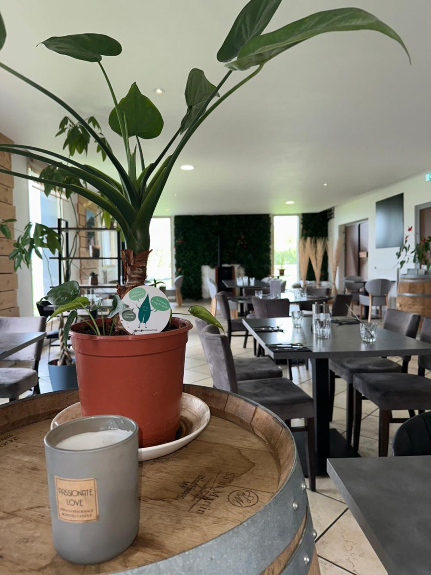 Logis Hotel Volcan Sancy Nebouzat Luaran gambar